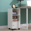 Mobile Filing Cabinet with Storage & Door File Cabinet Side Table Bedside Table