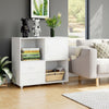 Mobile File Cabinet Lateral Filing Cabinet with 2 Drawers and Open Compartments