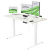 Electric Standing Desk Height Adjustable Desk Ergonomic Sit Stand Office Desk