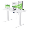 Electric Standing Desk Height Adjustable Desk Ergonomic Sit Stand Office Desk