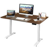 Flamaker 140x70 cm Electric Standing Desk Height Adjustable Computer Desk