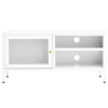 TV Cabinet Steel and Glass practical Rugged with storage space stable